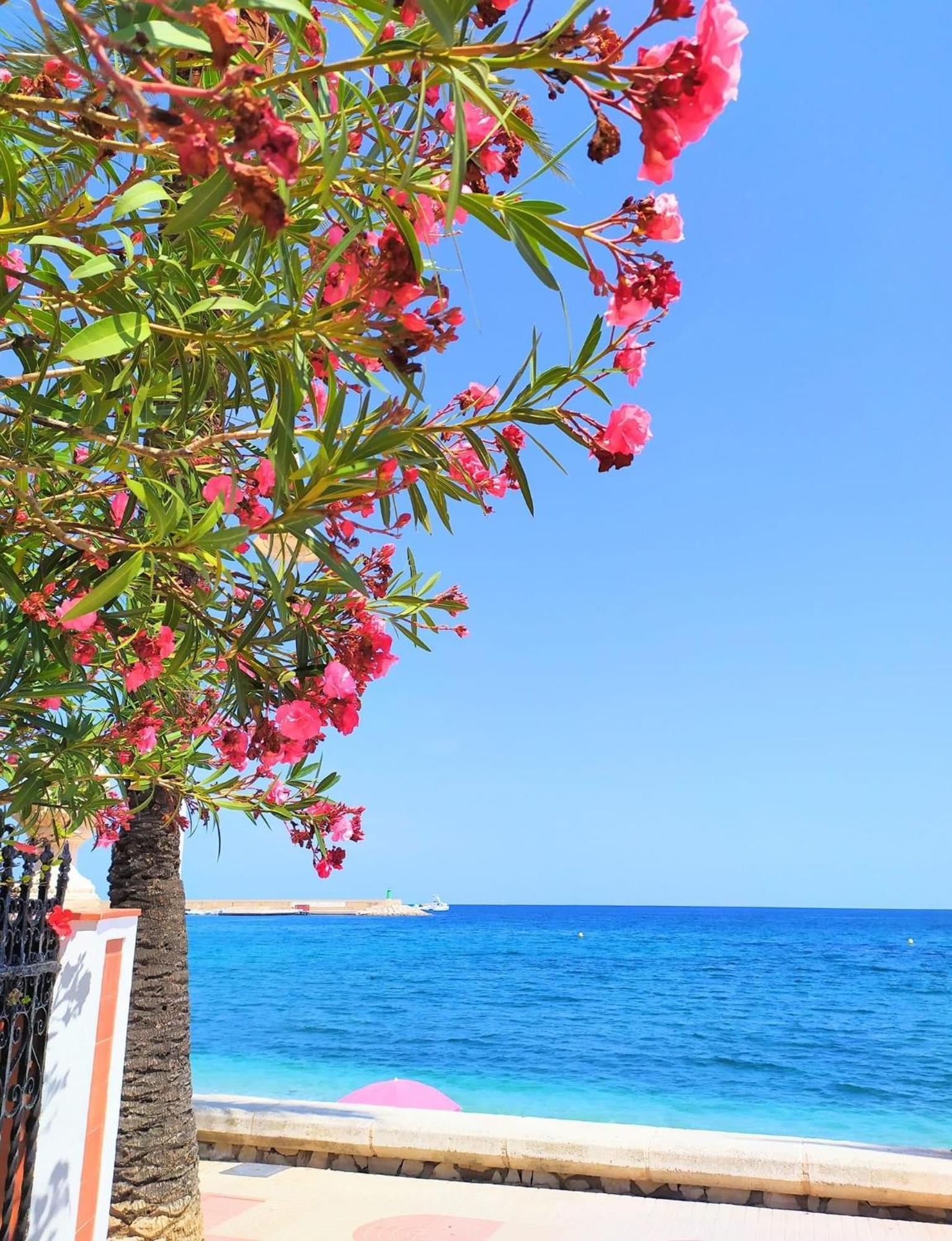 Javea Arenal Beach Exterior foto