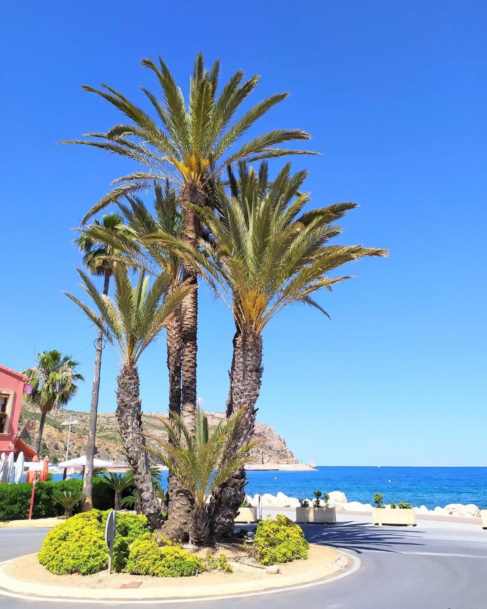 Javea Arenal Beach Exterior foto